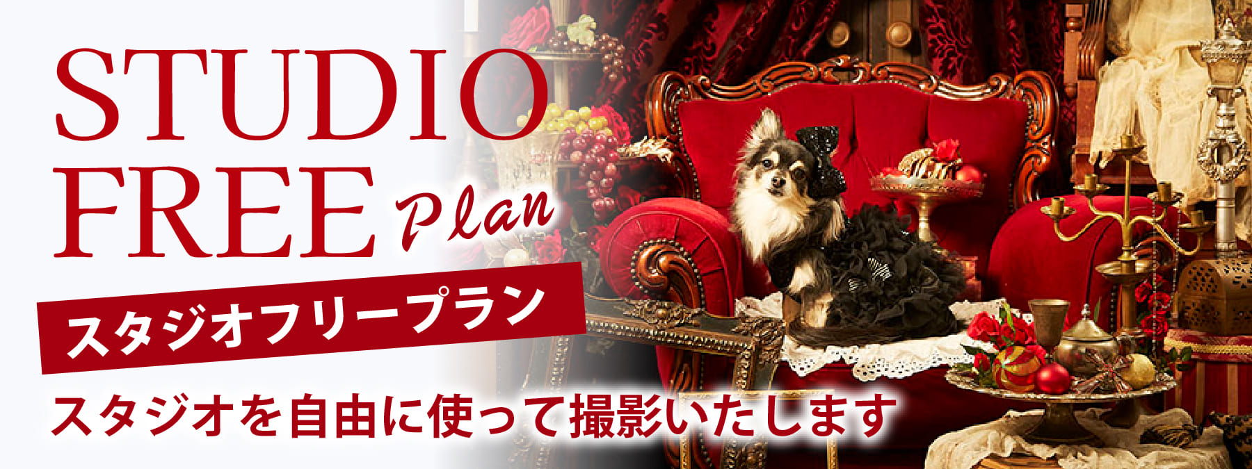 スタジオフリープラン