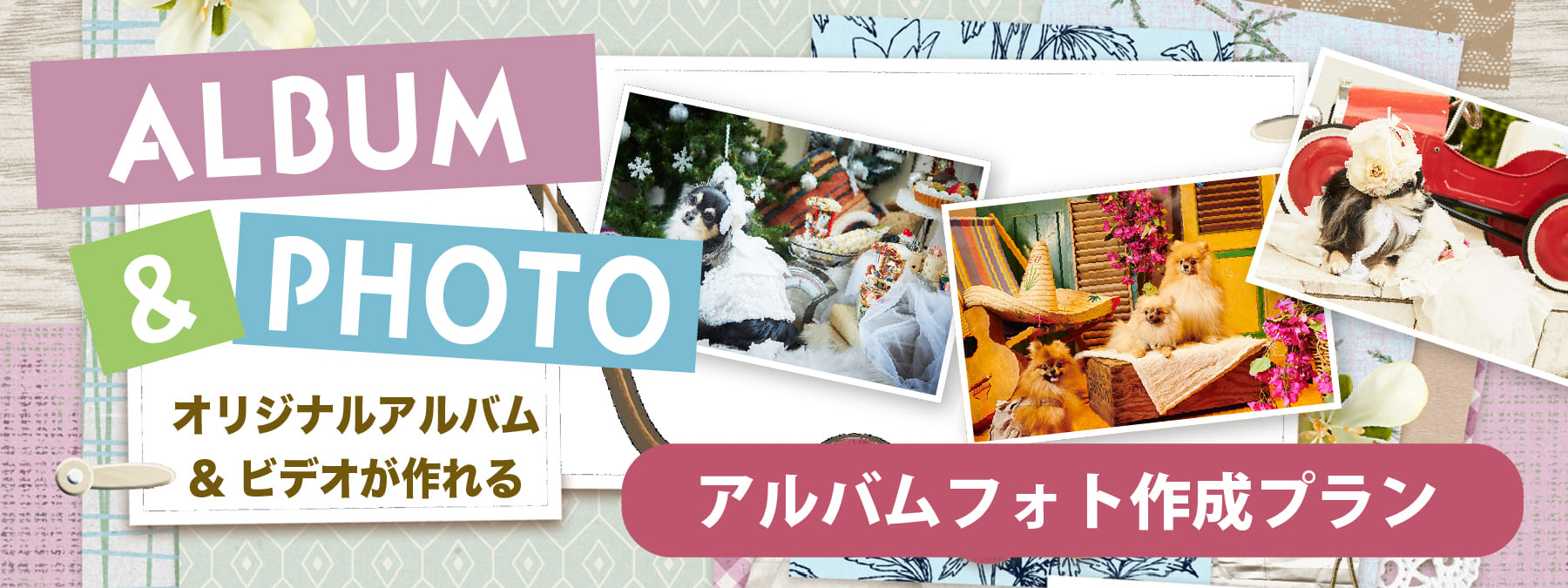 アルバムフォトプラン