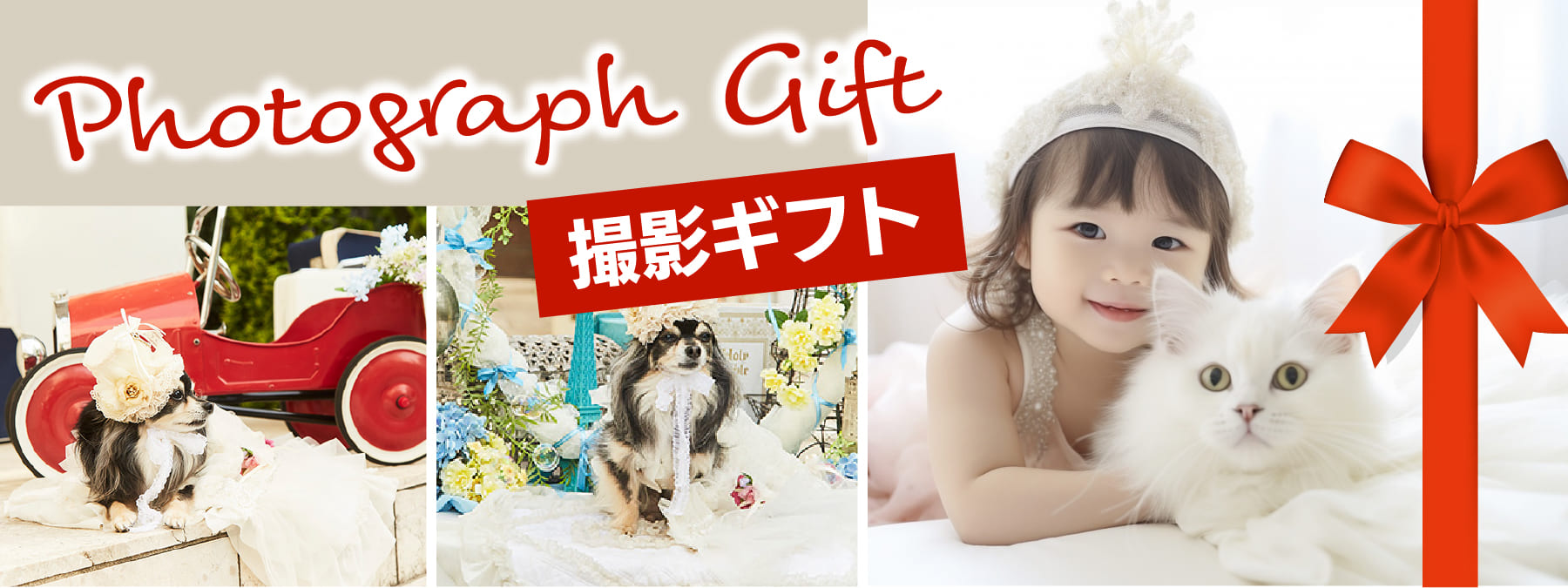 フォトギフトプラン